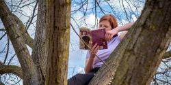 Photo of student reading a book in a tree