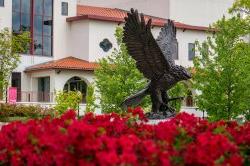 Red Hawk bronze statue with flowers