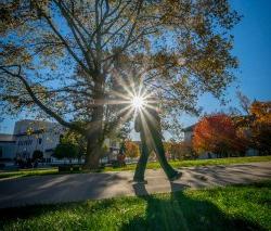 一个学生在阳光照耀下走过一棵树