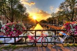 Photo of view of sunrise in Amsterdam from bridge with bicycles and flowers.
