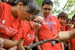 Eco-Explorers looking at an insect on a stick
